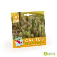 Graines cactus personnalisable en sachet