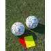 Miniature du produit Mini ballon de football publicitaire 12 panneaux 2