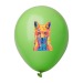 Ballon de baudruche, ballon de baudruche ou ballon latex publicitaire