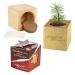 Miniature du produit Pot cube bois mini avec graines d'épicéa en boite Star-Box - Epicéa 0