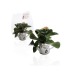 Miniature du produit Arrosoir en zinc avec mini plante fleurie 4