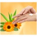 Miniature du produit Crème mains publicitaire anti-inflammatoire 300ml 1