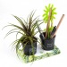 Miniature du produit Duo de pots à crayons avec plante grasse publicitaire 1