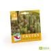 Miniature du produit Graines cactus personnalisable en sachet 1