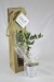 Miniature du produit Plant d'arbre en sac publicitaire kraft - Résineux 1