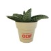 Miniature du produit Plante déco en pot bambou 2